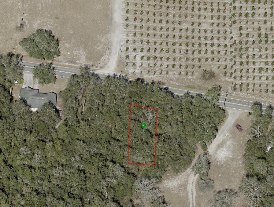 Reynolds Rd Property Photo 6