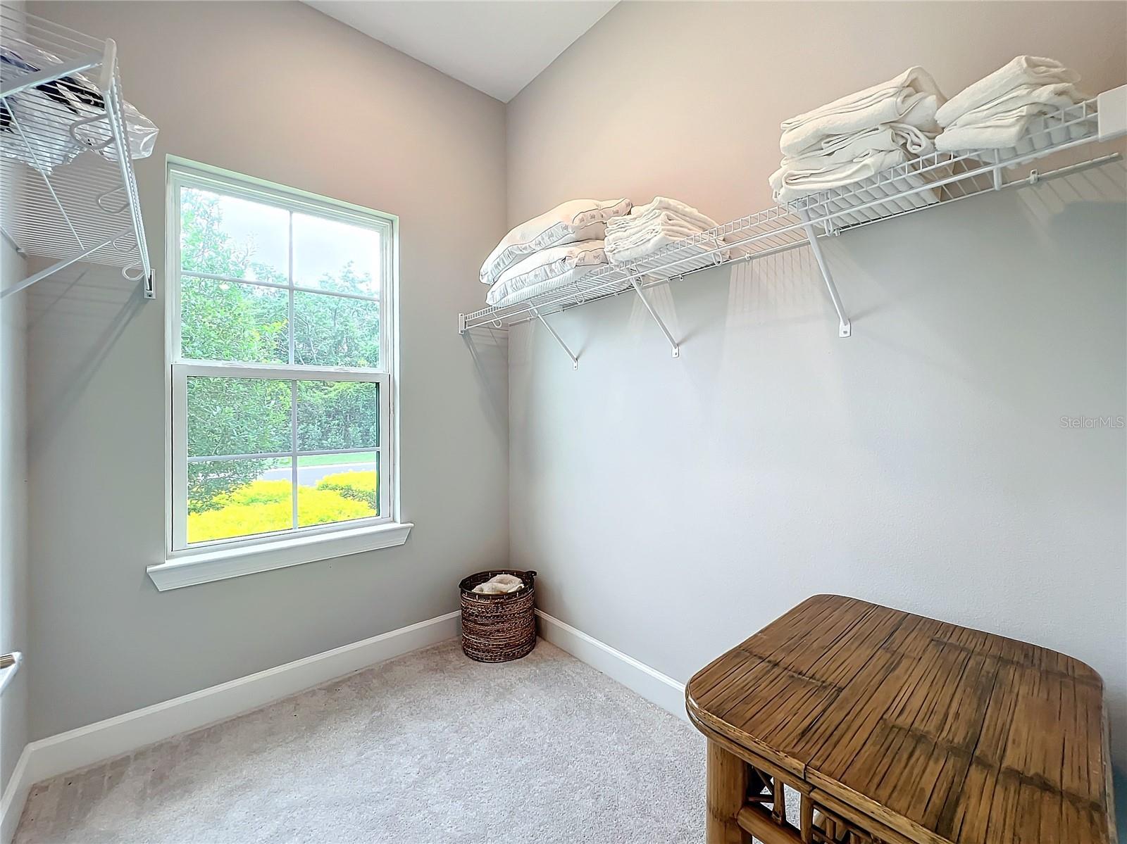 10193 Brocksport Cir Property Photo 22