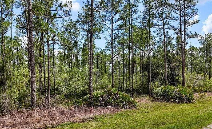 Oleander Dr Property Photo 2