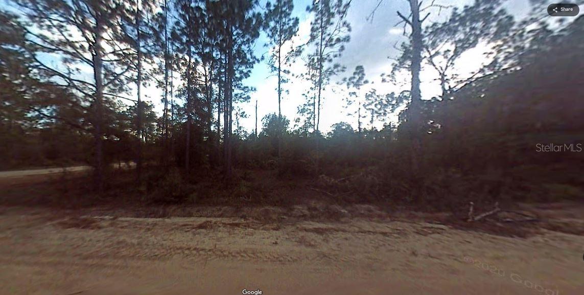 Evergreen St Property Photo 6