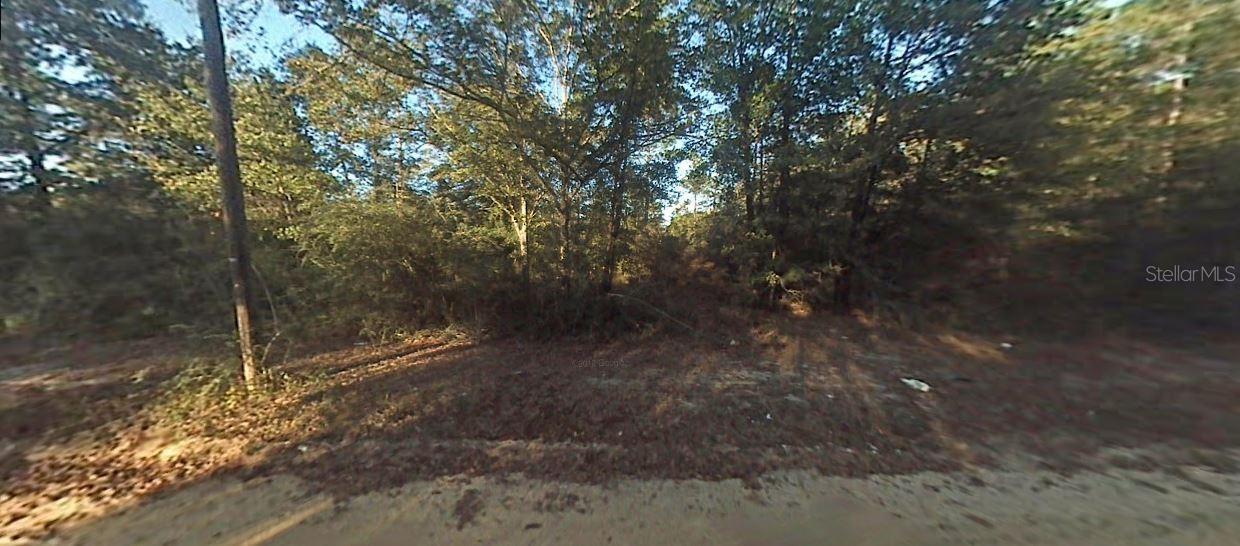 12307 3rd St Property Photo 2