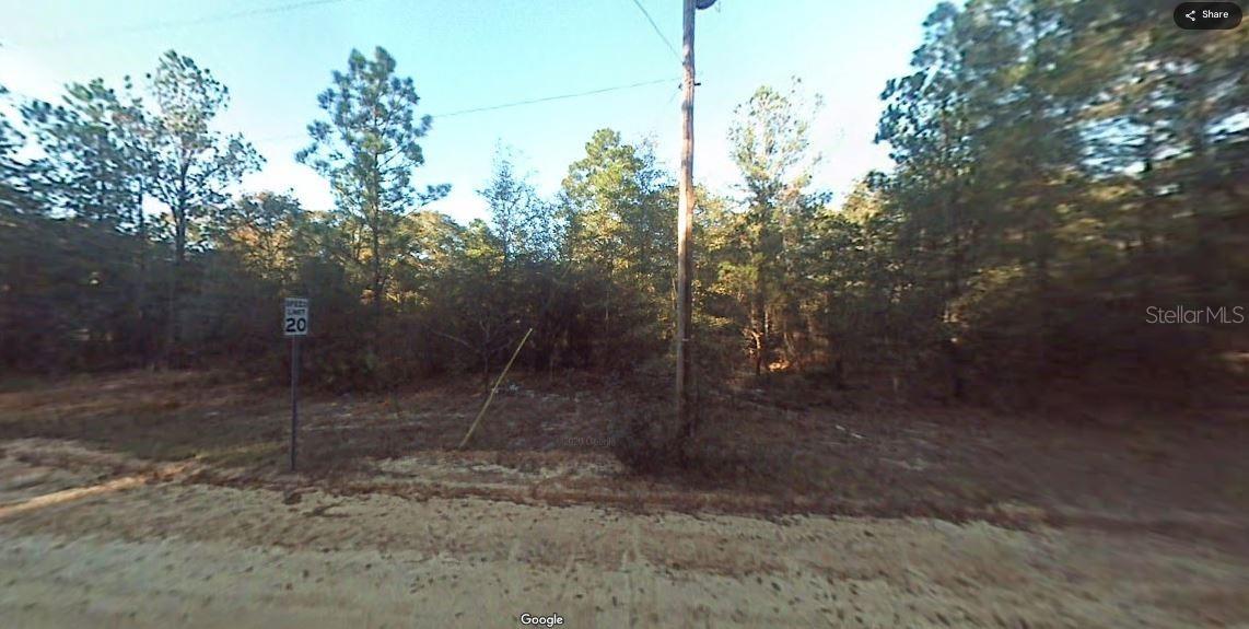 12307 3rd St Property Photo 6