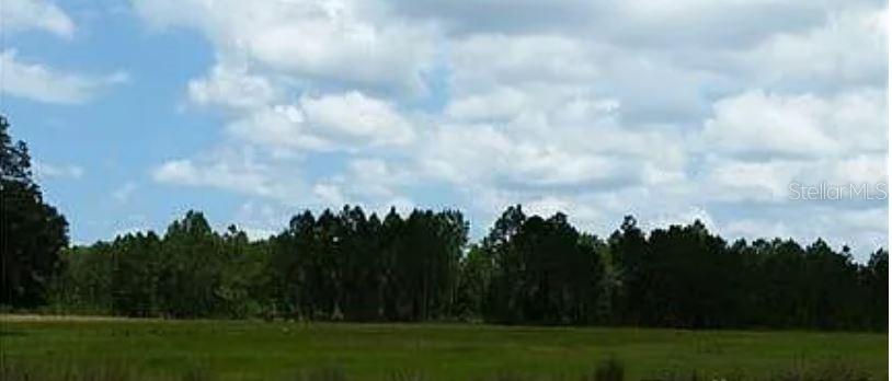 Big John Dr Property Photo 2