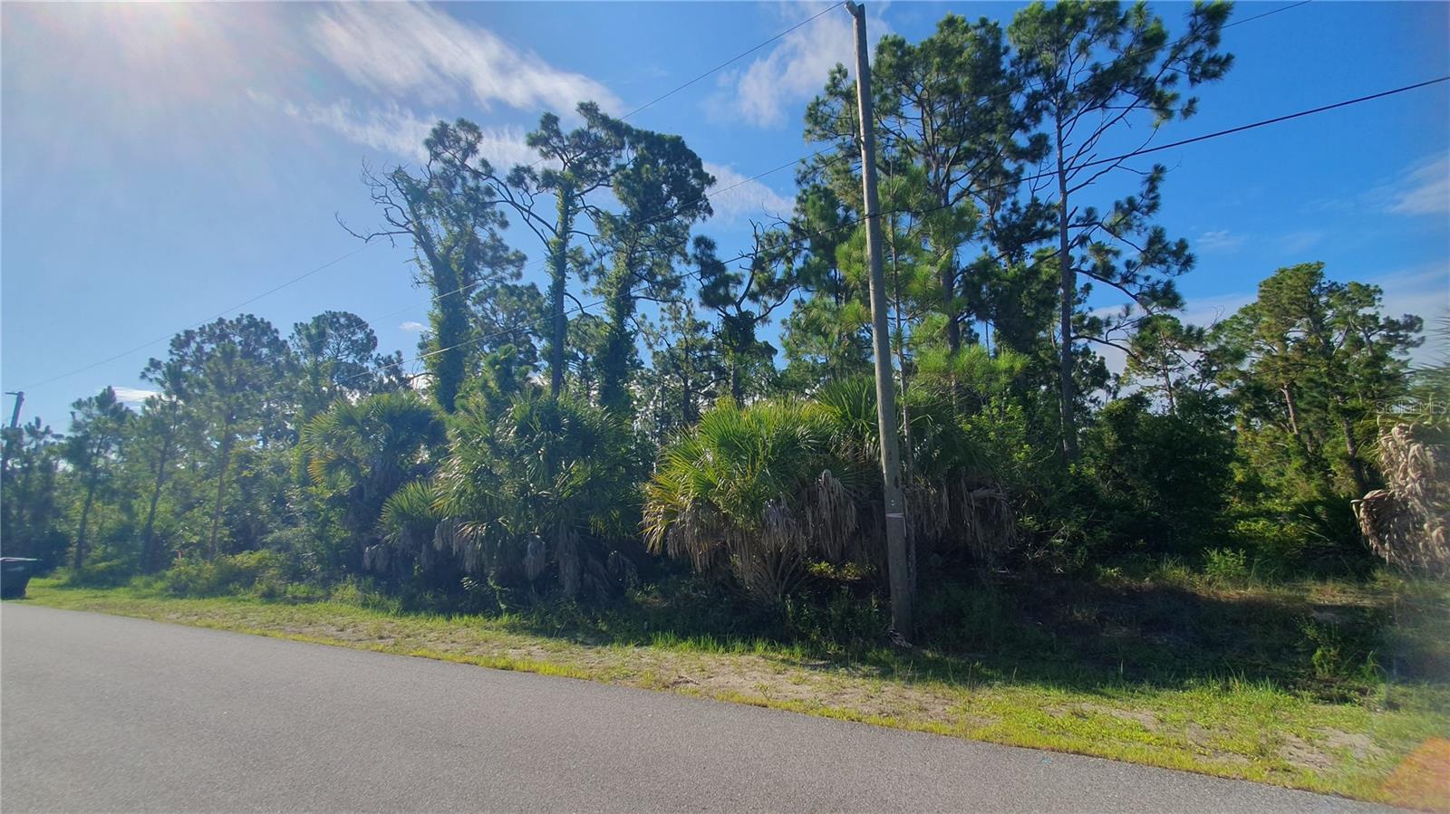16245 Hillsborough Blvd Property Photo 1
