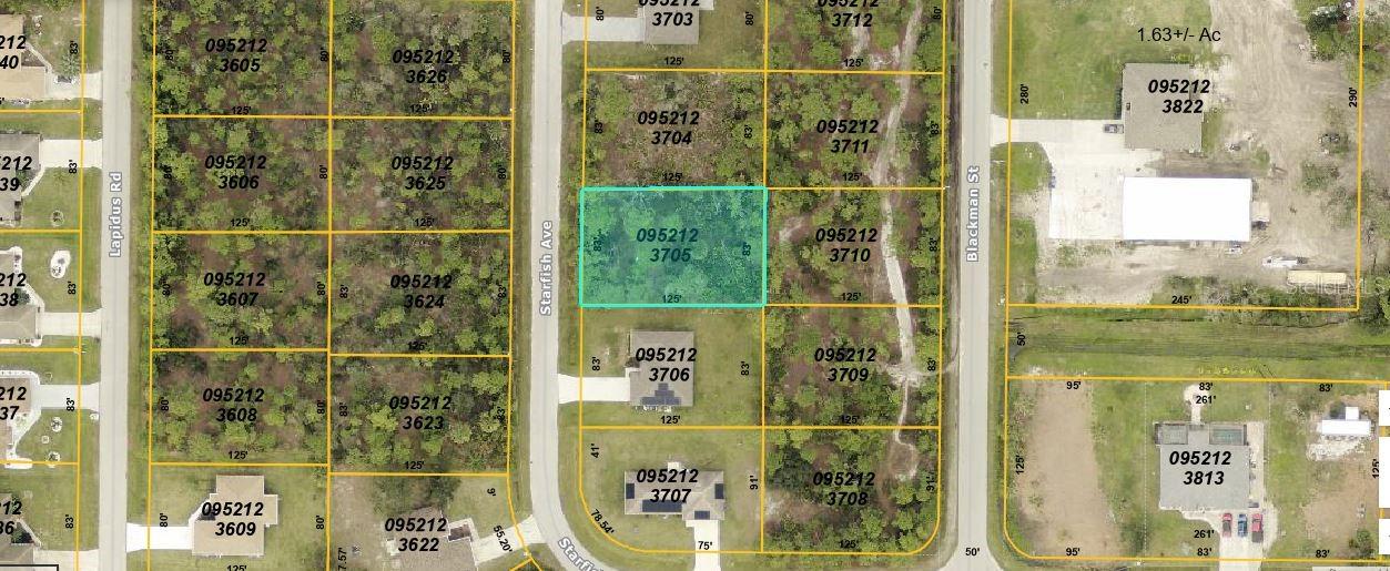 Starfish Ave Property Photo 1