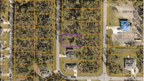 Starfish Ave Property Photo 3