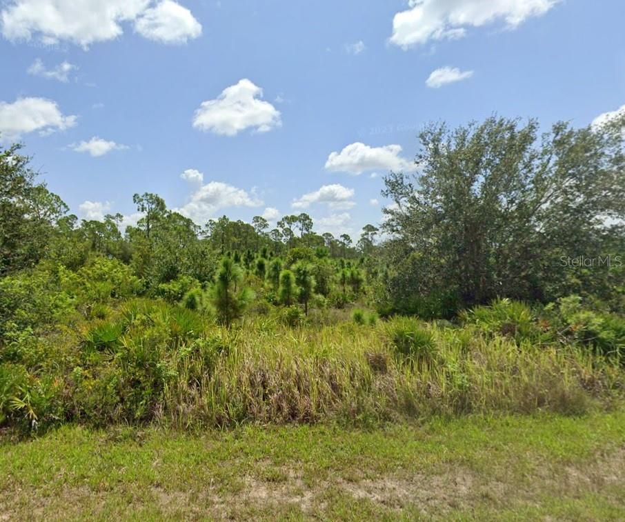 13202 Appleton Dr Property Photo 2
