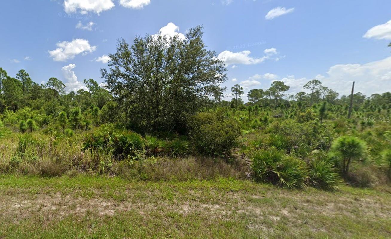 13202 Appleton Dr Property Photo 3