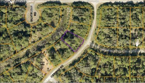 Ceriman Rd Property Photo 4