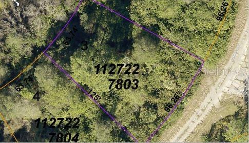 Ceriman Rd Property Photo 6