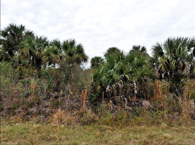 E Fiveleaf Dr, Property Photo 2