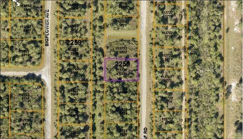 E Fiveleaf Dr, Property Photo 5