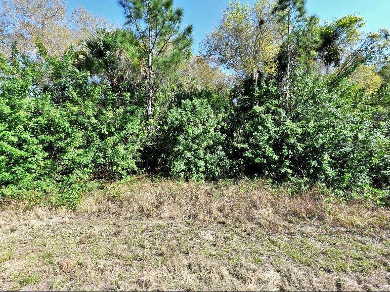 Nome Ave Property Photo 2