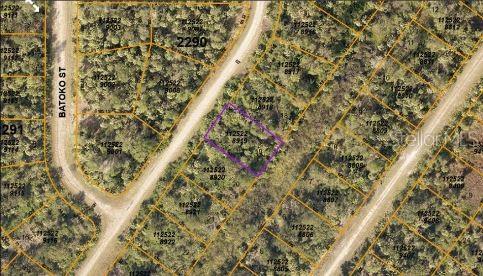 Inkwood Dr Property Photo 3