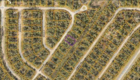 Inkwood Dr Property Photo 4