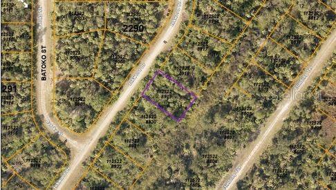 Inkwood Dr Property Photo 6
