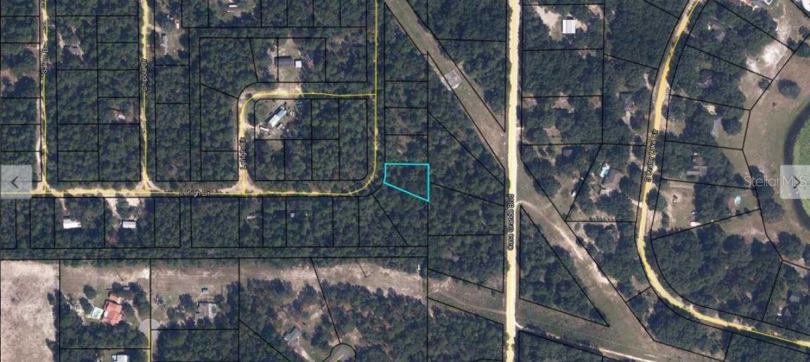 7231 Lehigh Dr Property Photo 2