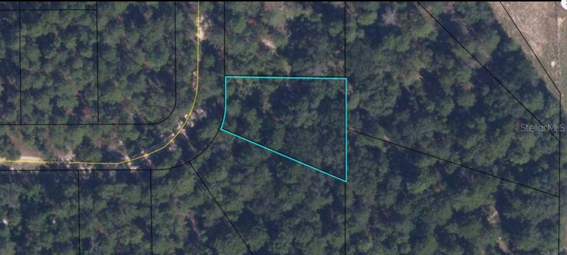 7231 Lehigh Dr Property Photo 3