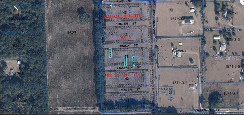 Tamiami Heights #5 Blks 41-45 Property Photo 4