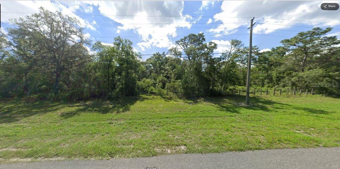 Chimney Rock Dr Property Photo 6