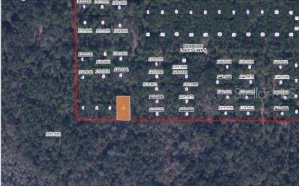 Paradise Lakes Ave Property Photo 3