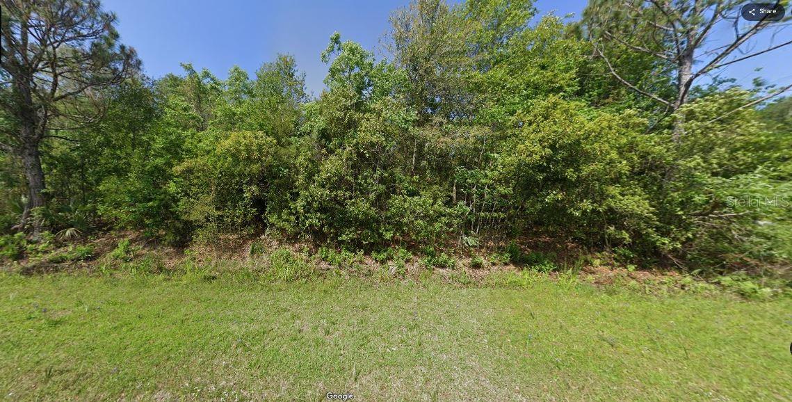 Paradise Lakes Ave Property Photo 4