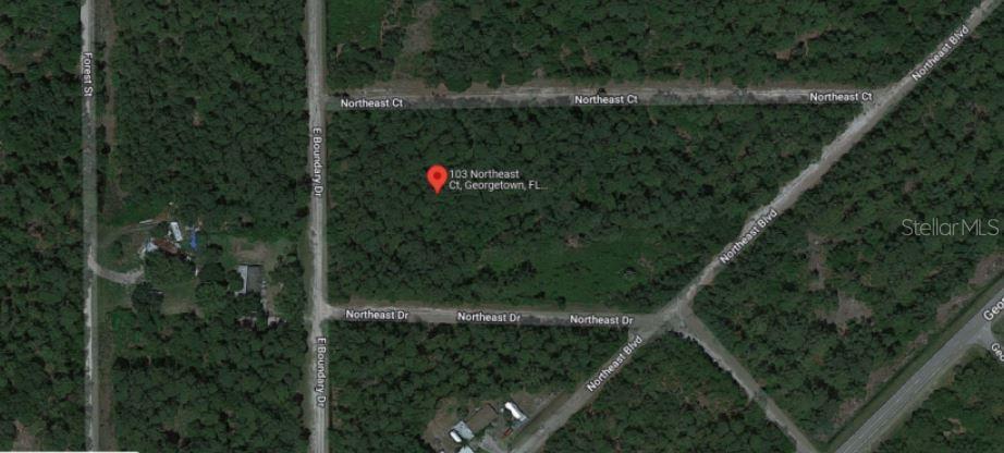 103 Northeast Ct Property Photo 5