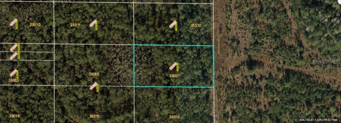 E Colonial Dr Property Photo 2