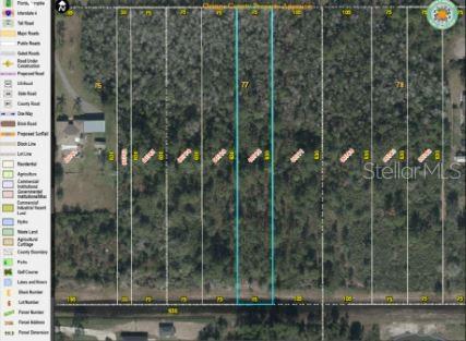Paddock St Property Photo 6