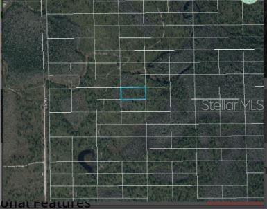 Dill Rd Property Photo 4