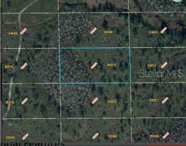 Dill Rd Property Photo 5