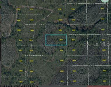 Dill Rd Property Photo 6