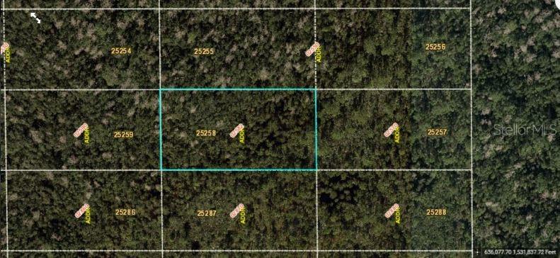 Dill Rd Property Photo 2