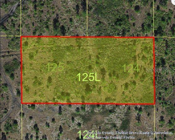 Holopaw Groves Rd Property Photo 3