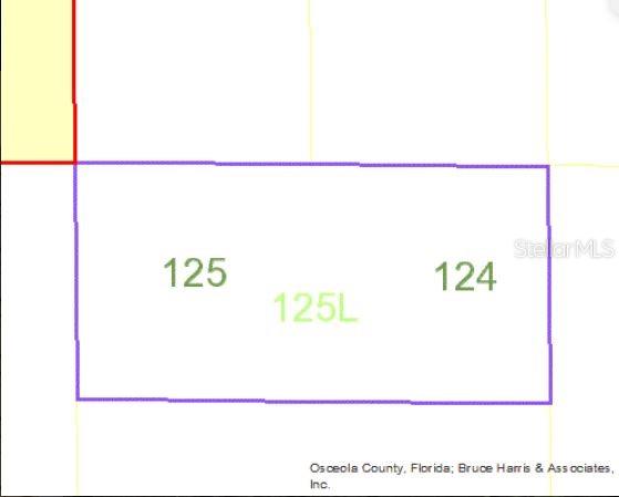 Holopaw Groves Rd Property Photo 4