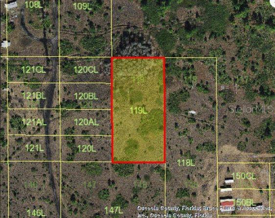 Holopaw Groves Rd Property Photo 3