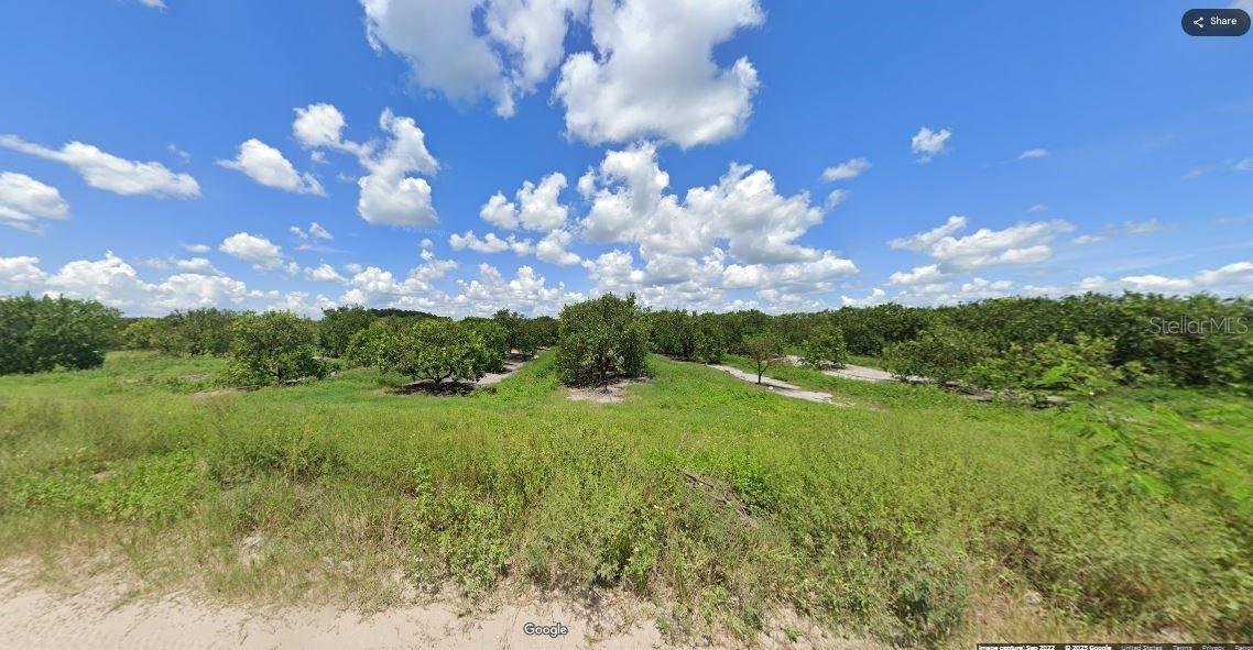 Holopaw Groves Rd Property Photo 3
