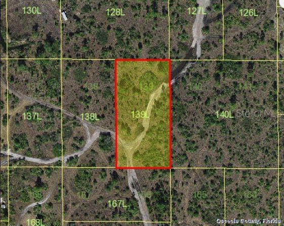 Holopaw Groves Rd Property Photo 3