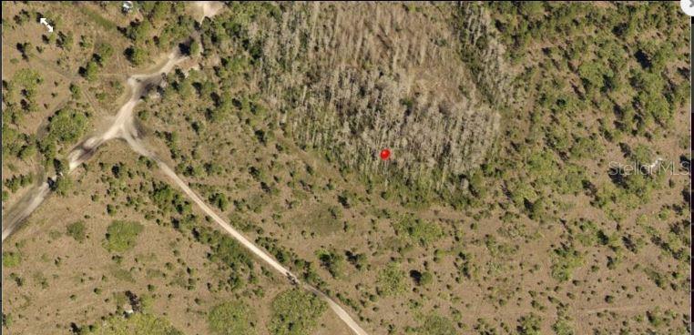 Holopaw Groves Rd Property Photo 2