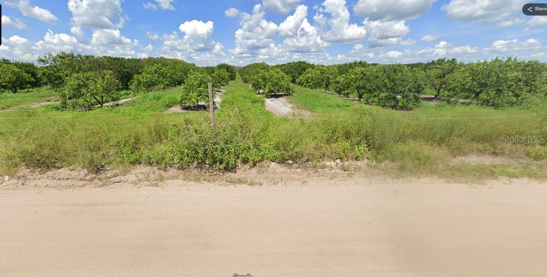 Holopaw Groves Rd Property Photo 2