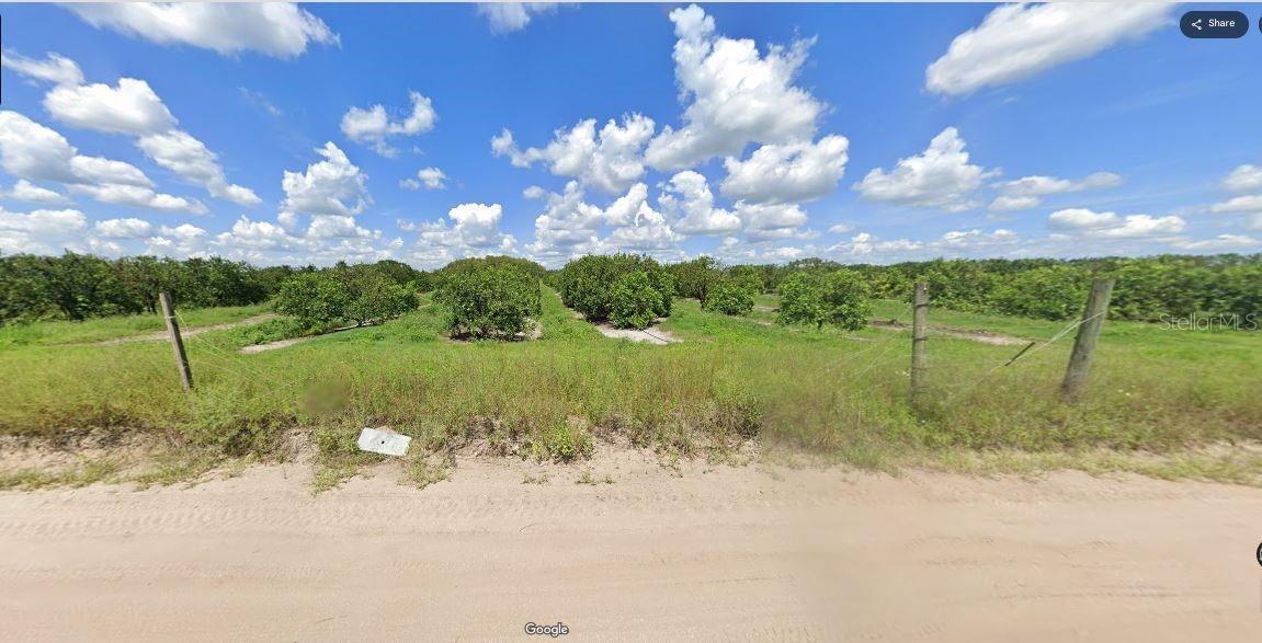 Holopaw Groves Rd Property Photo 2