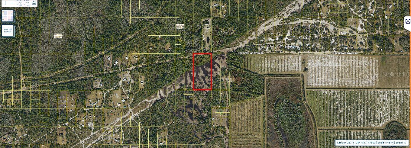Holopaw Groves Rd Property Photo 5