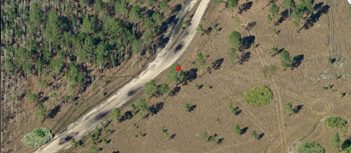 Holopaw Groves Rd Property Photo 4