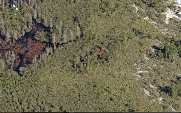 Holopaw Groves Rd Property Photo 3