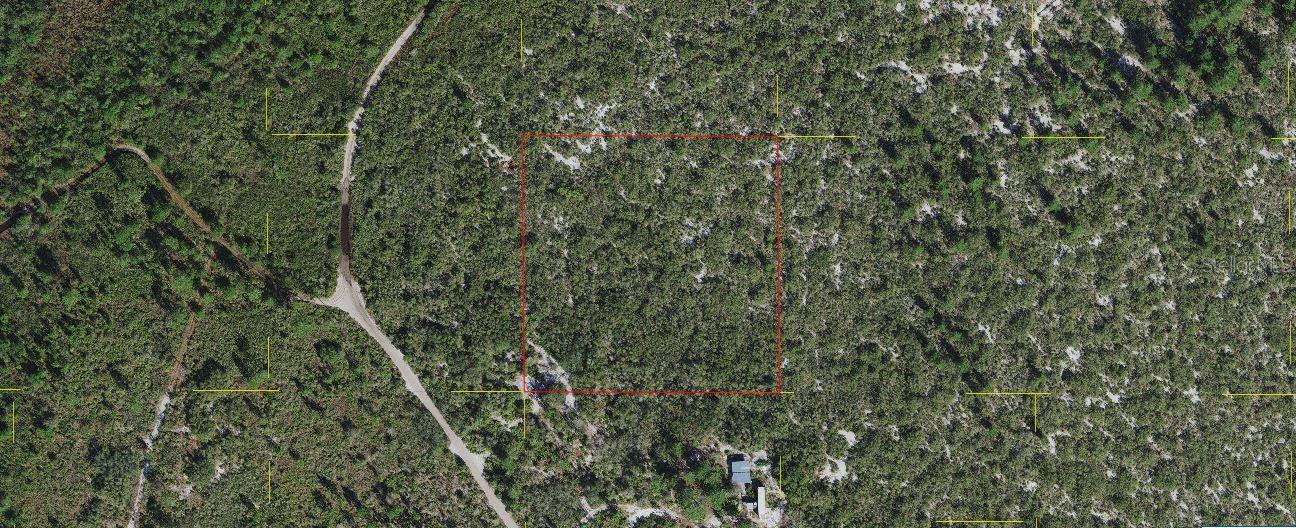 HOLOPAW GROVES RD Property Photo 1