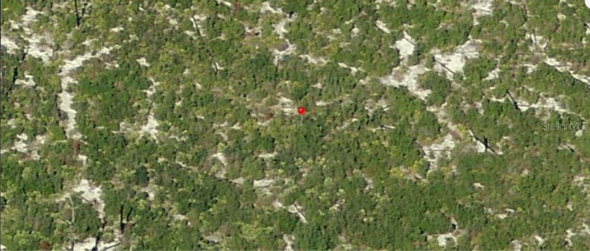 Holopaw Groves Rd Property Photo 3