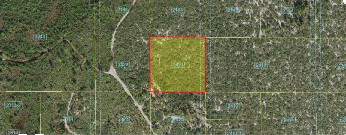 Holopaw Groves Rd Property Photo 4
