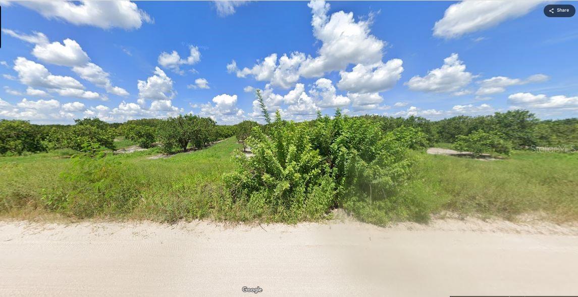 Holopaw Groves Rd Property Photo 5