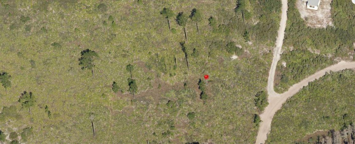 Holopaw Groves Rd Property Photo 3