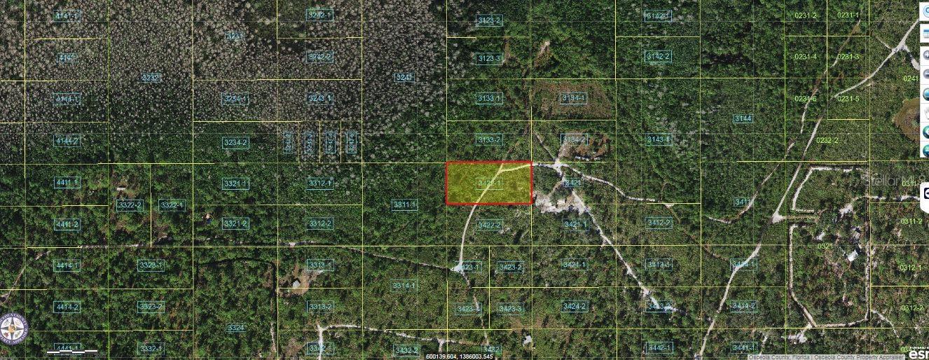 Holopaw Groves Rd Property Photo 2